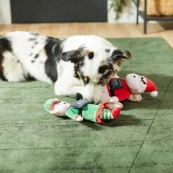 Frisco Holiday Bad Santa & Elf Plush Squeaky Dog Toy 7 Frisco Holiday Bad Santa & Elf Plush Squeaky Dog Toy -Frisco 287223 PT3. AC SS1800 V1632773570