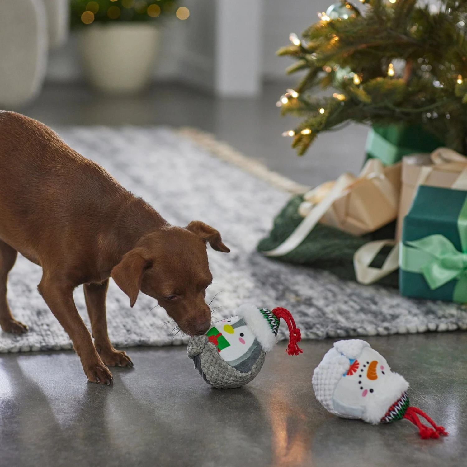 Frisco Holiday Penguin & Snowman Plush Squeaky Dog Toy 5 Frisco Holiday Penguin & Snowman Plush Squeaky Dog Toy - Image 3
