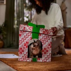 Frisco Holiday Gift Box Cardboard Cat House 11 Frisco Holiday Gift Box Cardboard Cat House -Frisco 287291 PT3. AC SS1800 V1695043502