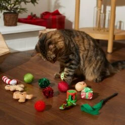 Frisco Holiday Festive Red Variety Pack Gift Box Cat Toy With Catnip, 14 Count 10 Frisco Holiday Festive Red Variety Pack Gift Box Cat Toy With Catnip, 14 Count -Frisco 287305 PT3. AC SS1800 V1632773836