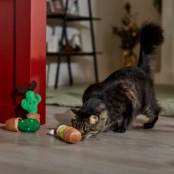 Frisco Holiday Cactus Plush Cat Toy With Catnip, 3 Count 8 Frisco Holiday Cactus Plush Cat Toy With Catnip, 3 Count -Frisco 287329 PT3. AC SS1800 V1661874421