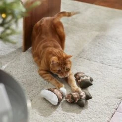 Frisco Mittens & Hat Plush Cat Toy With Catnip, 3 Count 8 Frisco Mittens & Hat Plush Cat Toy With Catnip, 3 Count -Frisco 287361 PT3. AC SS1800 V1632775954