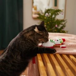 Frisco Naughty Or Nice Snowman Reversible Plush Cat Toy With Catnip 9 Frisco Naughty Or Nice Snowman Reversible Plush Cat Toy With Catnip -Frisco 287387 PT3. AC SS1800 V1632774541