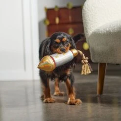 Frisco Firework Plush With Rope Squeaky Dog Toy 7 Frisco Firework Plush With Rope Squeaky Dog Toy -Frisco 288480 PT3. AC SS1800 V1638291301