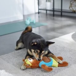 Frisco Fitness Bear Reversible Plush Squeaky Dog Toy -Frisco 288897 PT3. AC SS1800 V1638291713