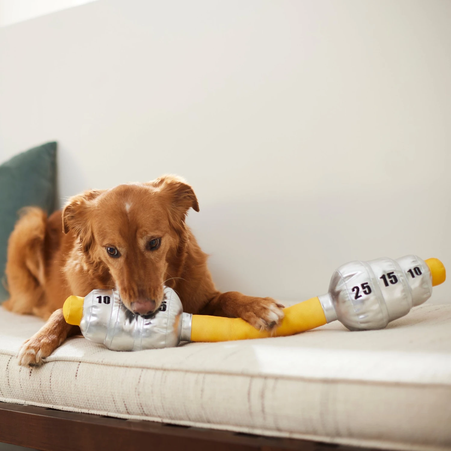 Frisco Weight Bar Wagazoo Plush Squeaky Dog Toy 5 Frisco Weight Bar Wagazoo Plush Squeaky Dog Toy - Image 3