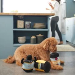 Frisco New Year, New Me Protein Powder Plush Squeaky Dog Toy -Frisco 288925 PT3. AC SS1800 V1638289658