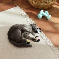 Frisco Pre-Workout & Protein Plush Cat Toy With Catnip, 3 Count 7 Frisco Pre-Workout & Protein Plush Cat Toy With Catnip, 3 Count -Frisco 288953 PT3. AC SS1800 V1638287817