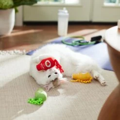 Frisco New Year, New Me Juice Cleanse Plush Cat Toy With Catnip 7 Frisco New Year, New Me Juice Cleanse Plush Cat Toy With Catnip -Frisco 288957 PT3. AC SS1800 V1638292099