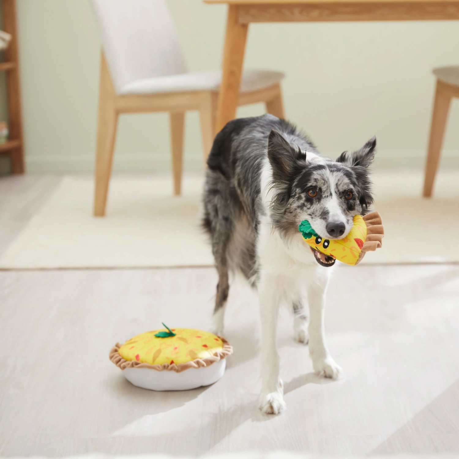 Frisco Brunch Quiche 2-in-1 Plush Squeaky Dog Toy 6 Frisco Brunch Quiche 2-in-1 Plush Squeaky Dog Toy - Image 4