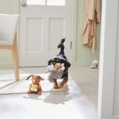 Frisco Brunch Flying Breakfast Critters Plush Squeaky Dog Toy 7 Frisco Brunch Flying Breakfast Critters Plush Squeaky Dog Toy -Frisco 297280 PT2. AC SS1800 V1642088192