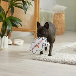 Frisco Brunch Word Bubble Plush Squeaky Dog Toy 9 Frisco Brunch Word Bubble Plush Squeaky Dog Toy -Frisco 297286 PT3. AC SS1800 V1642087915