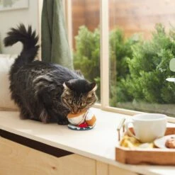 Frisco Brunch Teacup Plush Cat Toy With Catnip 7 Frisco Brunch Teacup Plush Cat Toy With Catnip -Frisco 297292 PT2. AC SS1800 V1642088843