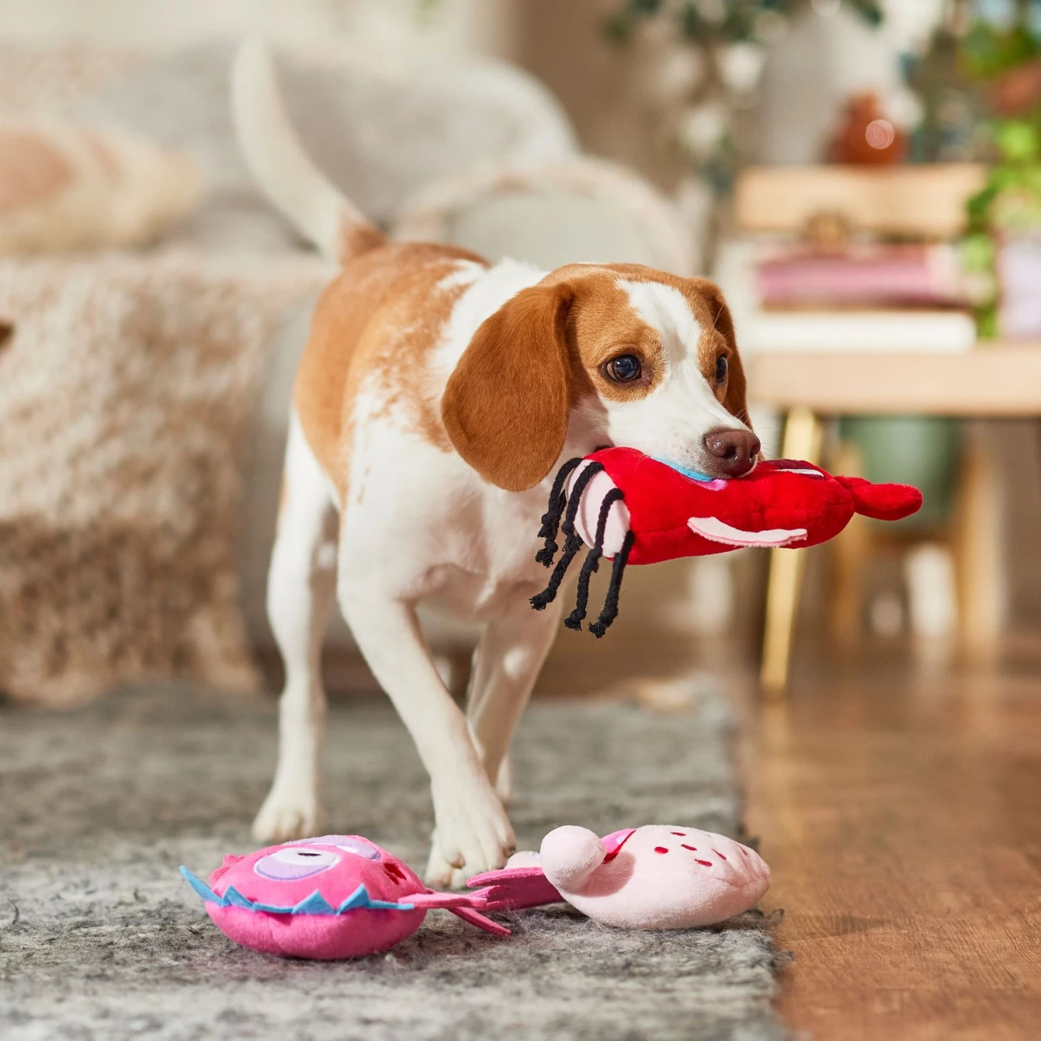 Frisco Valentine Love Monsters Plush Squeaky Dog Toy 5 Frisco Valentine Love Monsters Plush Squeaky Dog Toy - Image 3