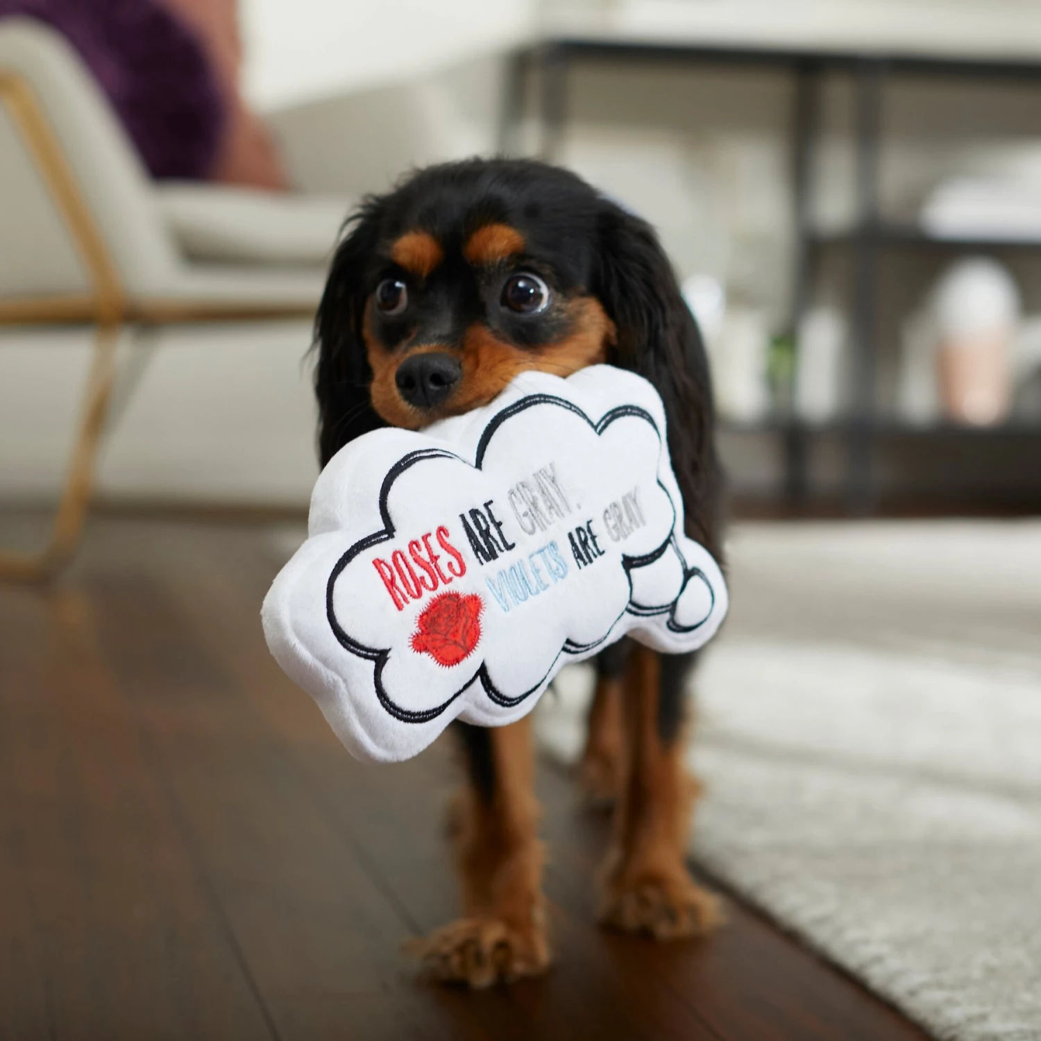 Frisco Valentine Be My Valentine Thought Bubble Reversible Plush Squeaky Dog Toy 6 Frisco Valentine Be My Valentine Thought Bubble Reversible Plush Squeaky Dog Toy - Image 4