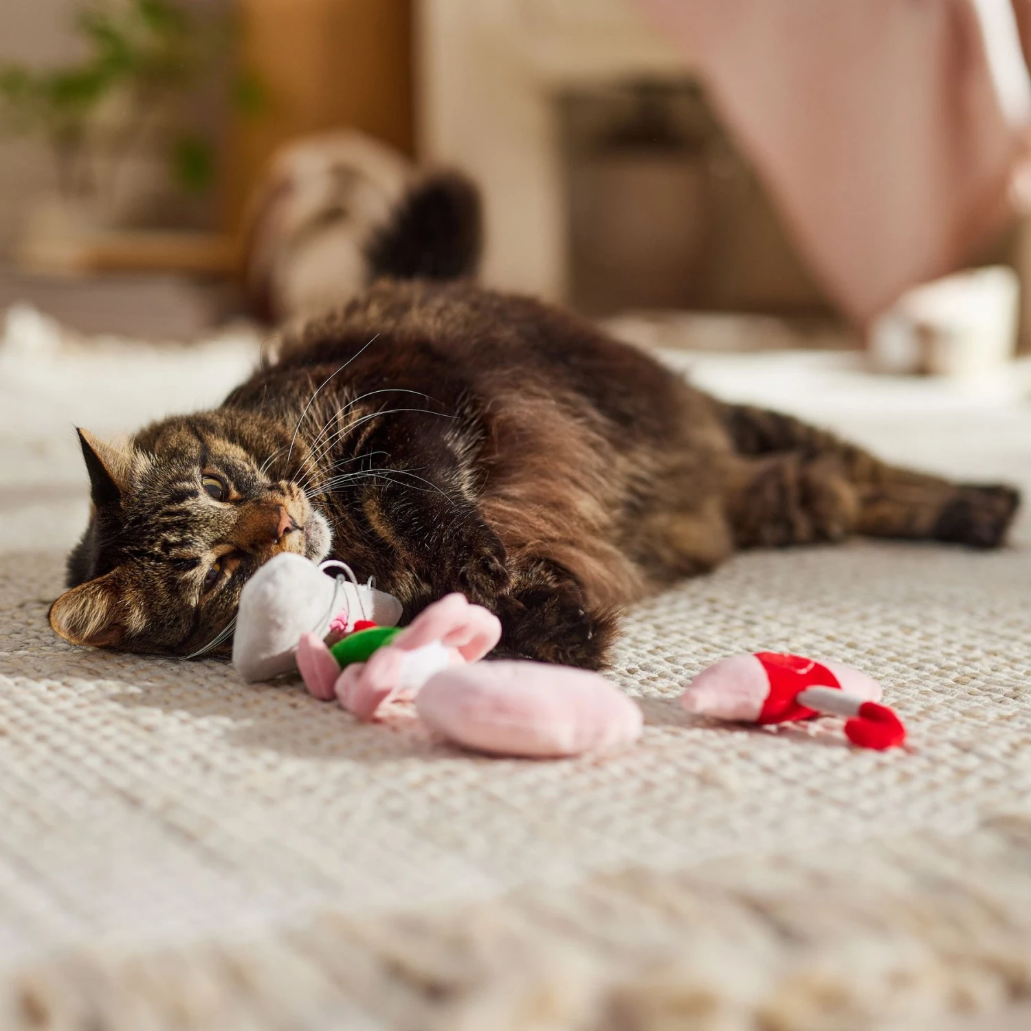 Frisco It's Raining Love Plush Cat Toy With Catnip, 4 Count 5 Frisco It's Raining Love Plush Cat Toy With Catnip, 4 Count - Image 3