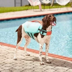 Frisco Active Dog Life Jacket & Frisco Foam Rubber Floating Fetch Ball No Squeak Dog Toy 14 Frisco Active Dog Life Jacket & Frisco Foam Rubber Floating Fetch Ball No Squeak Dog Toy -Frisco 303364 PT3. AC SS1800 V1623163058
