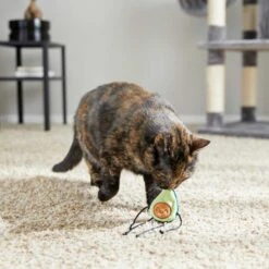 Frisco Cactus Cat Scratching Post & Frisco Dangly Avocado Buddy Plush Cat Toy With Catnip 15 Frisco Cactus Cat Scratching Post & Frisco Dangly Avocado Buddy Plush Cat Toy With Catnip -Frisco 303380 PT6. AC SS1800 V1623085642