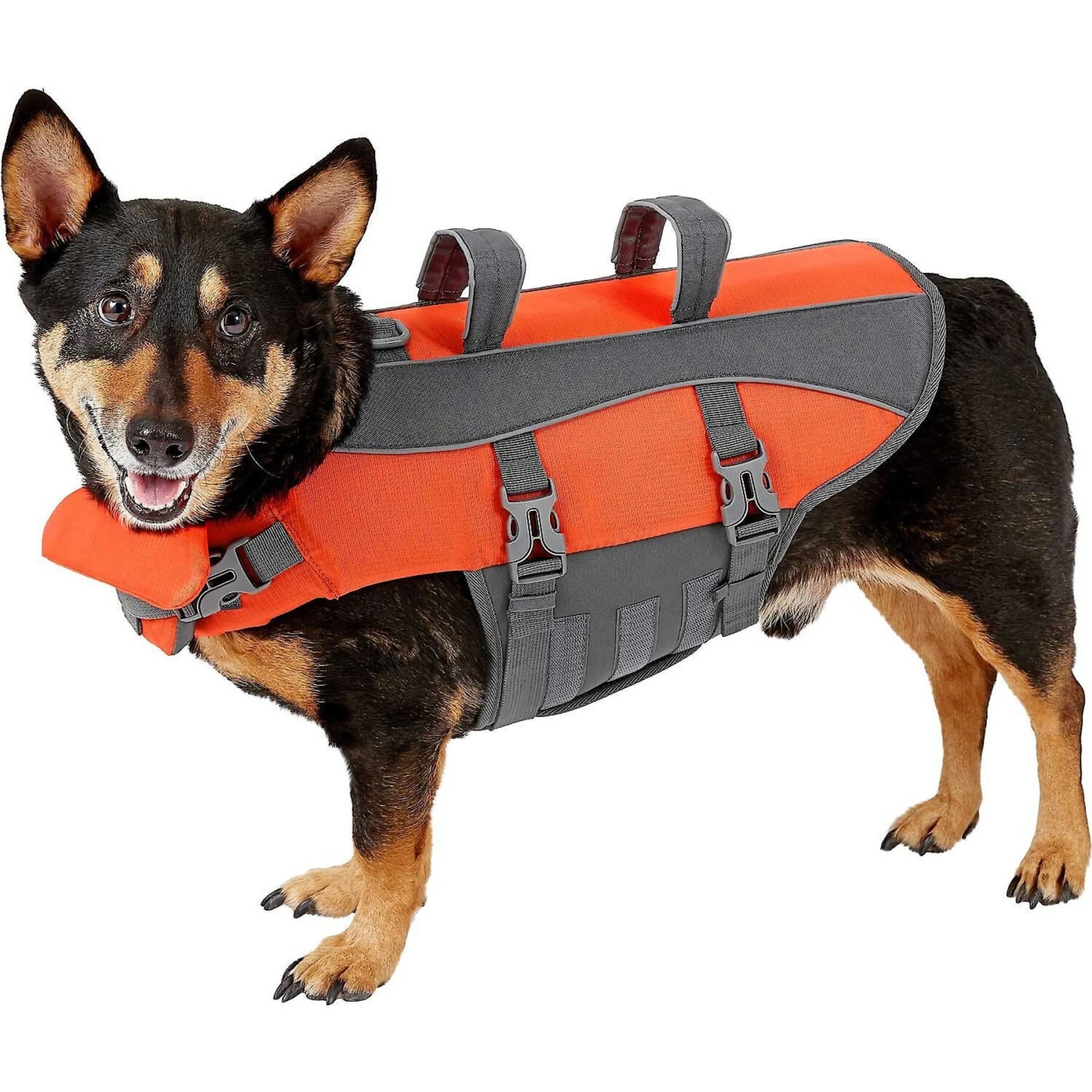 Frisco Ripstop Dog Life Jacket & Frisco Foam Rubber Floating Fetch Ball No Squeak Dog Toy 4 Frisco Ripstop Dog Life Jacket & Frisco Foam Rubber Floating Fetch Ball No Squeak Dog Toy - Image 2