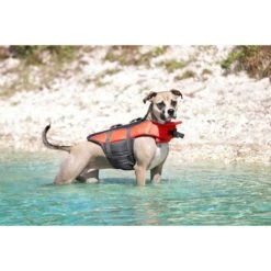Frisco Ripstop Dog Life Jacket & Frisco Foam Rubber Floating Fetch Ball No Squeak Dog Toy 14 Frisco Ripstop Dog Life Jacket & Frisco Foam Rubber Floating Fetch Ball No Squeak Dog Toy -Frisco 303546 PT4. AC SS1800 V1623046643