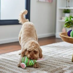 Frisco Easter Bunny Egg Plush Squeaky Dog Toy 10 Frisco Easter Bunny Egg Plush Squeaky Dog Toy -Frisco 304960 PT4. AC SS1800 V1702500564