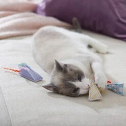 Frisco Spring Party Hat Kickers Cat Toy With Catnip 8 Frisco Spring Party Hat Kickers Cat Toy With Catnip -Frisco 306960 PT3. AC SS1800 V1703184746