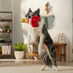 Frisco Valentine Ice Cream Plush Squeaky Dog Toy 8 Frisco Valentine Ice Cream Plush Squeaky Dog Toy -Frisco 312895 PT3. AC SS1800 V1701364917