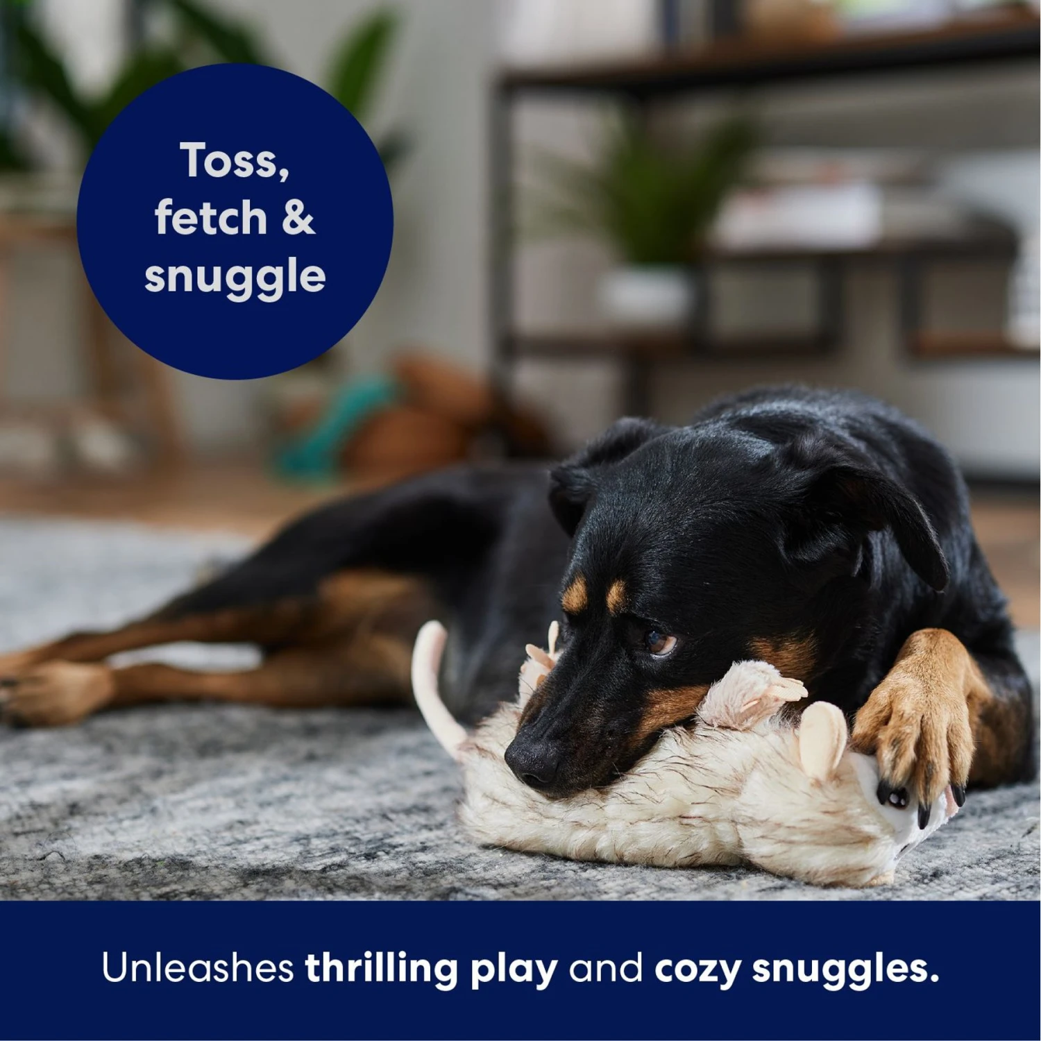 Frisco Realistic Opossum Plush Squeaky Dog Toy 7 Frisco Realistic Opossum Plush Squeaky Dog Toy - Image 5