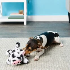Frisco Cow Plush Squeaky Dog Toy & Playology Scented Dual Layer Ring Dog Toy 14 Frisco Cow Plush Squeaky Dog Toy & Playology Scented Dual Layer Ring Dog Toy -Frisco 319488 PT3. AC SS1800 V1630626696