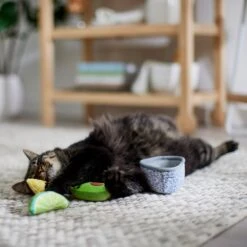 Frisco Guacamole Bowl Cat Toy With Catnip, Medium, 4 Count 9 Frisco Guacamole Bowl Cat Toy With Catnip, Medium, 4 Count -Frisco 327059 PT3. AC SS1800 V1645205519