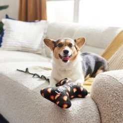 Frisco Pride Proud Pup Bone Plush Squeaky Dog Toy 9 Frisco Pride Proud Pup Bone Plush Squeaky Dog Toy -Frisco 331638 PT3. AC SS1800 V1647355940