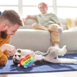 Frisco Pride My Dads Love Me Plush Squeaky Dog Toy 7 Frisco Pride My Dads Love Me Plush Squeaky Dog Toy -Frisco 331648 PT3. AC SS1800 V1647355984
