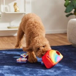 Frisco Pride Rainbow Hide & Seek Puzzle Plush Squeaky Dog Toy -Frisco 331673 PT3. AC SS1800 V1647356070