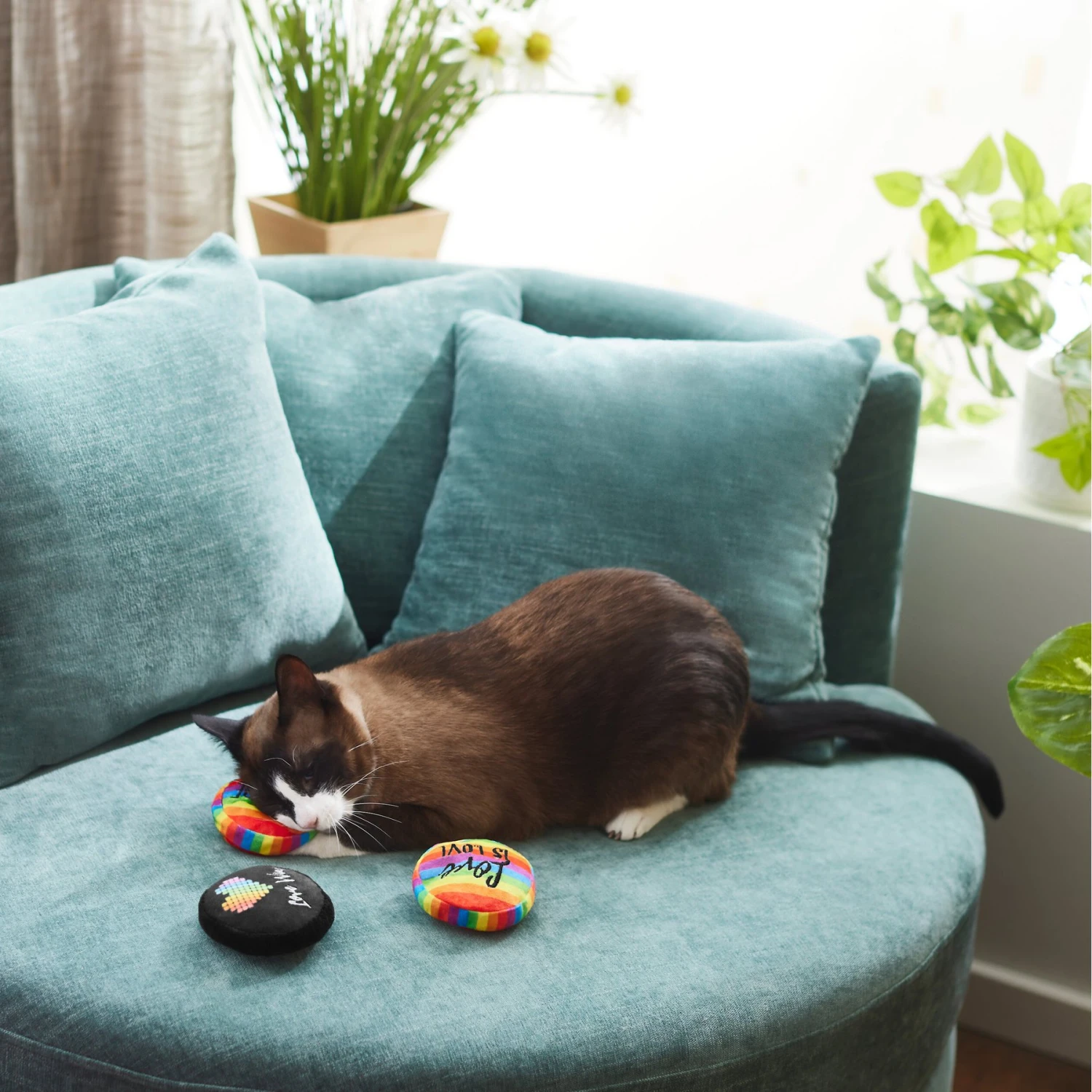 Frisco Pride Buttons Plush Cat Toy With Catnip, 3 Count 5 Frisco Pride Buttons Plush Cat Toy With Catnip, 3 Count - Image 3