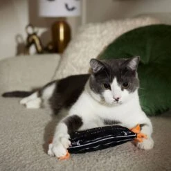 Frisco Halloween A-Paw-Thecary Kicker Plush Cat Toy With Catnip 8 Frisco Halloween A-Paw-Thecary Kicker Plush Cat Toy With Catnip -Frisco 344000 PT3. AC SS1800 V1657657029