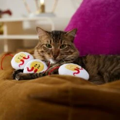 Frisco Halloween Haunted Deviled Eggs Plush Cat Toy With Catnip 8 Frisco Halloween Haunted Deviled Eggs Plush Cat Toy With Catnip -Frisco 344058 PT3. AC SS1800 V1657657030