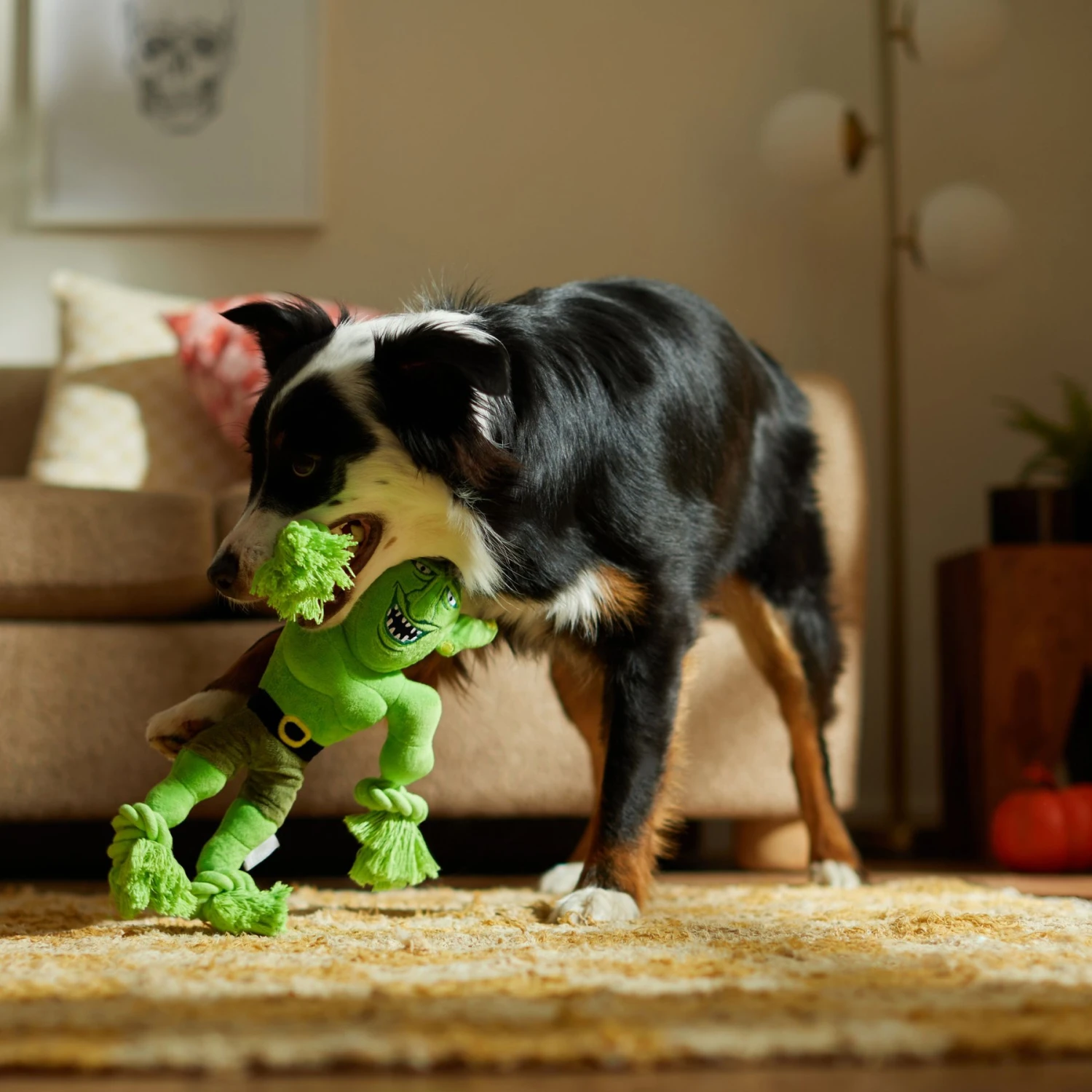 Frisco Halloween Goblin Plush With Rope Squeaky Dog Toy 5 Frisco Halloween Goblin Plush With Rope Squeaky Dog Toy - Image 3