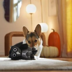 Frisco Halloween Spooky Owl Plush Squeaky Dog Toy 9 Frisco Halloween Spooky Owl Plush Squeaky Dog Toy -Frisco 344162 PT3. AC SS1800 V1657657049