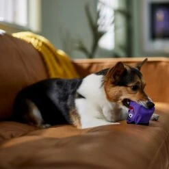 Frisco Halloween Vampire Latex Squeaky Dog Toy 8 Frisco Halloween Vampire Latex Squeaky Dog Toy -Frisco 344166 PT3. AC SS1800 V1657657049