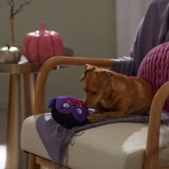 Frisco Halloween Vampire Round Plush Squeaky Dog Toy 9 Frisco Halloween Vampire Round Plush Squeaky Dog Toy -Frisco 344168 PT3. AC SS1800 V1657657049