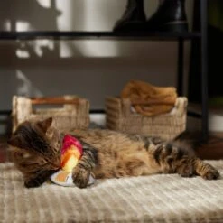 Frisco Fall Campfire Plush Cat Toy With Catnip 8 Frisco Fall Campfire Plush Cat Toy With Catnip -Frisco 344178 PT3. AC SS1800 V1659023182