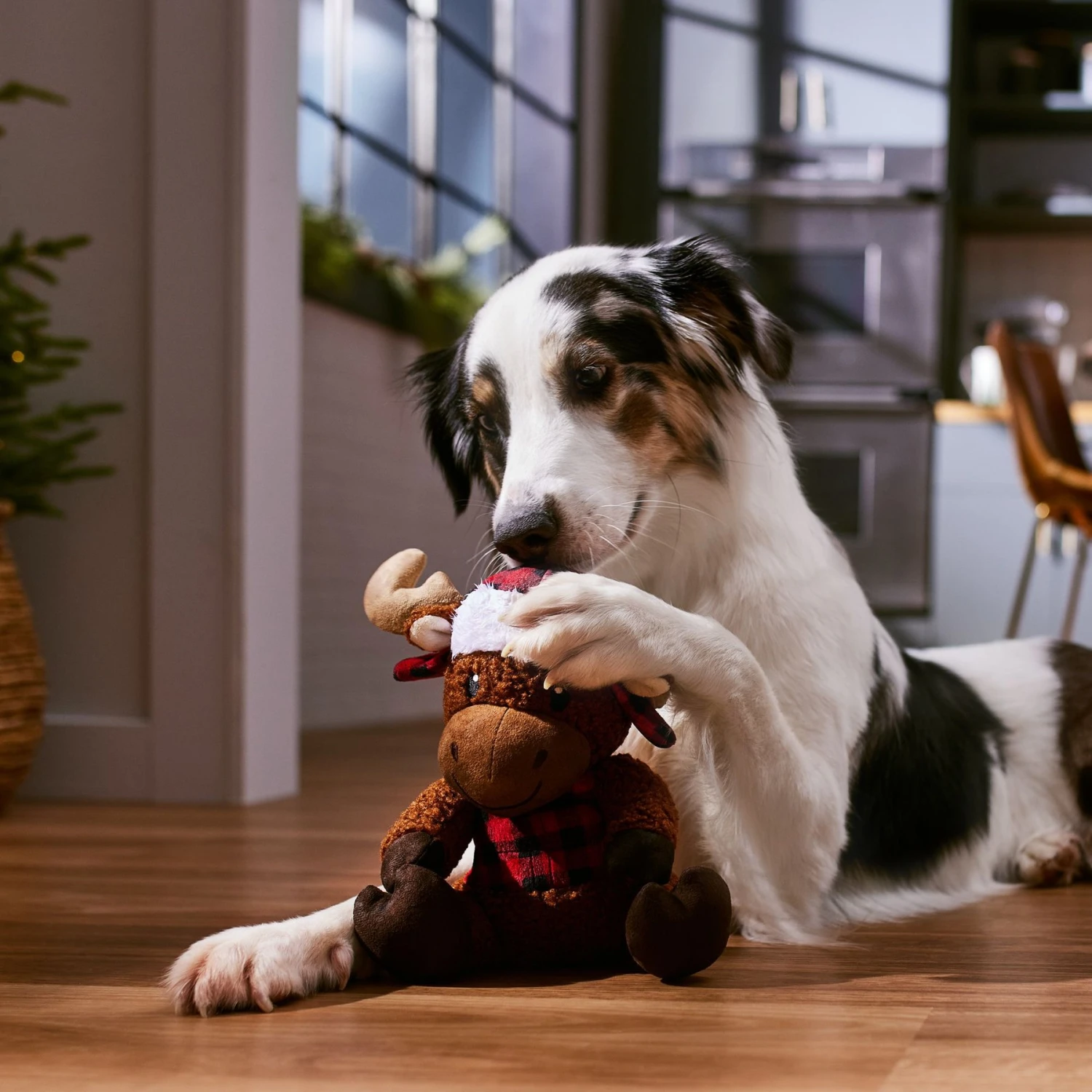 Frisco Holiday Cozy Moose Plush Squeaky Dog Toy 5 Frisco Holiday Cozy Moose Plush Squeaky Dog Toy - Image 3