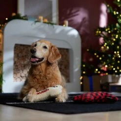 Frisco Holiday "Happy Pawlidays" Bone Plush Squeaky Dog Toy, Medium, 2 Count 8 Frisco Holiday "Happy Pawlidays" Bone Plush Squeaky Dog Toy, Medium, 2 Count -Frisco 360942 PT3. AC SS1800 V1661874360