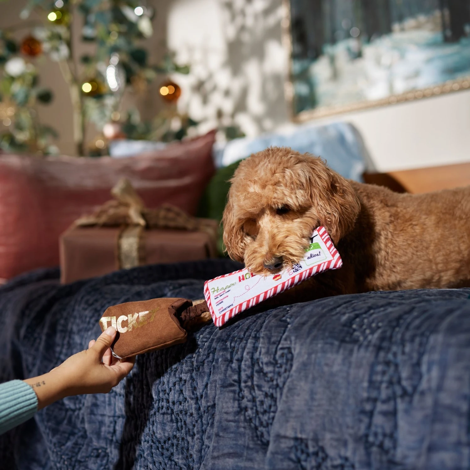 Frisco Holiday Home For The Holidays Airline Ticket Bungee Plush Squeaky Dog Toy 6 Frisco Holiday Home For The Holidays Airline Ticket Bungee Plush Squeaky Dog Toy - Image 4