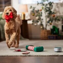 Frisco Holiday Gift Wrapping Set Plush Squeaky Dog Toy 9 Frisco Holiday Gift Wrapping Set Plush Squeaky Dog Toy -Frisco 360968 PT3. AC SS1800 V1661874420