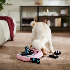 Frisco Valentine Love Song Record Player Hide & Seek Puzzle Plush Squeaky Dog Toy 10 Frisco Valentine Love Song Record Player Hide & Seek Puzzle Plush Squeaky Dog Toy -Frisco 371087 PT3. AC SS1800 V1668737233