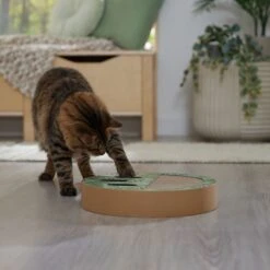 Frisco Interactive Maze & Scratch Cardboard Cat Toy Box With Catnip, Palms 12 Frisco Interactive Maze & Scratch Cardboard Cat Toy Box With Catnip, Palms -Frisco 506130 PT4. AC SS1800 V1669212028