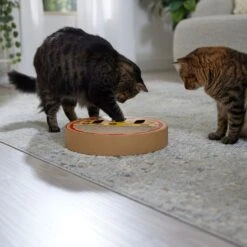 Frisco Interactive Maze & Scratch Cardboard Cat Toy With Catnip, Pizza 12 Frisco Interactive Maze & Scratch Cardboard Cat Toy With Catnip, Pizza -Frisco 506154 PT4. AC SS1800 V1669148129