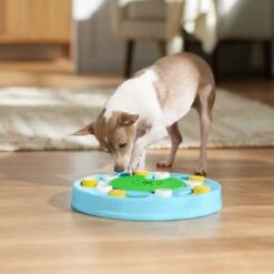 Frisco Seek & Discover Interactive Puzzle Dog Toy, Moderate 14 Frisco Seek & Discover Interactive Puzzle Dog Toy, Moderate -Frisco 506250 PT5. AC SS1800 V1674664929