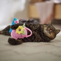 Frisco Spring Watering Can Plush Cat Toy With Catnip -Frisco 541558 PT3. AC SS1800 V1671814448